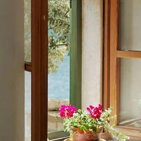 Charming House + Bbq Σπίτι διακοπών Selca (Brac)
